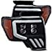 AlphaRex USA 880192 Projector Headlamps Fits Ford F-150