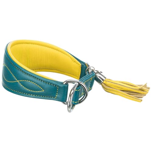 TRIXIE Active Komfort Windhunde Halsband Größe XS-S: Halsumfang 24-31 cm/50 mm in Petrol - extra breites Hundehalsband für kleine Hunde, schützt den Kehlbereich, unterfüttert, 18966