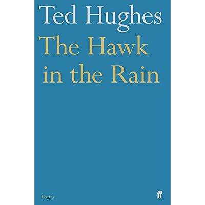 The Hawk in the Rain