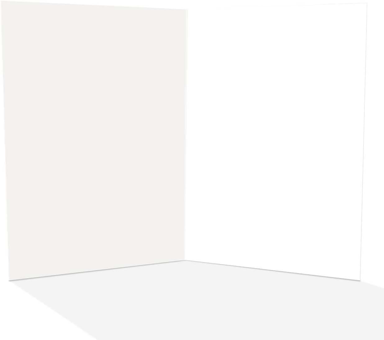 Stonehouse Collection | Funny New Address Card Pack | We've Made the Move | Turtle Moving into New Shell | 18 Cards & Envelopes - USA Made