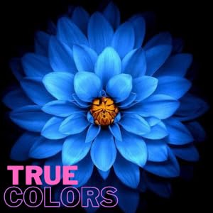 Image of Arika 100 Cms (40 inches) A-Series Full HD 1080p LED TV ARC0040N (Black)