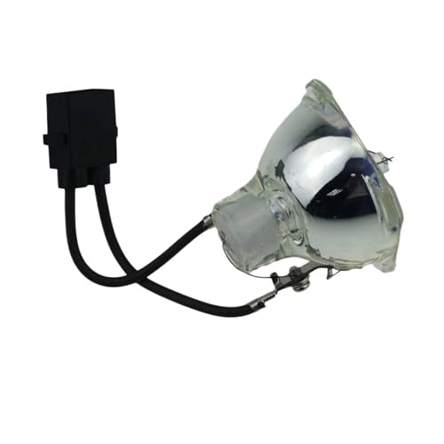 Ampoule LT35LP pour vidéoprojecteur NEC LT35 : lampe de projecteur pour réunions nettes