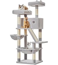 Amazon | Taoqimiao キャットタワー 高さ 170cm 大型猫用 多頭飼い