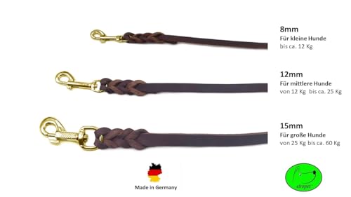 Hundeleine Fettleder/Schleppleine Leder Messing/Lederleine kleine Hunde & große Hunde / 2m / 3m / 5m / 10m / 15m /20m (Braun MIT Handschlaufe, 3m / 12mm)