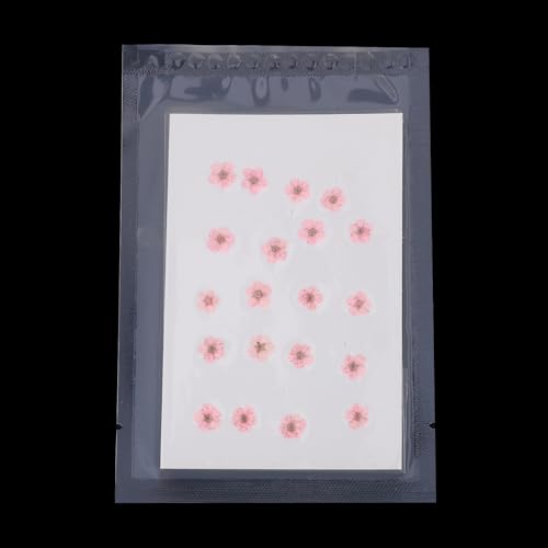 Flores Secas Prensadas Patikil 60 Piezas Rosa Claro miniatura 4