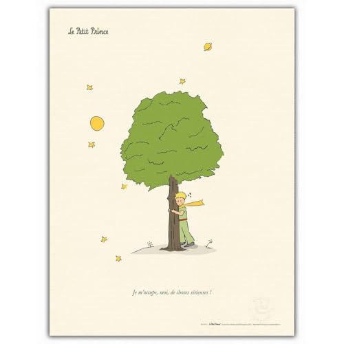 Affiche d'art Le Petit Prince et l'arbre Oneart 60x80cm