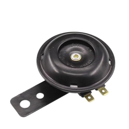 Haut-Parleur Moto et Voiture 12V 48V 60V en Petit Fer Noir