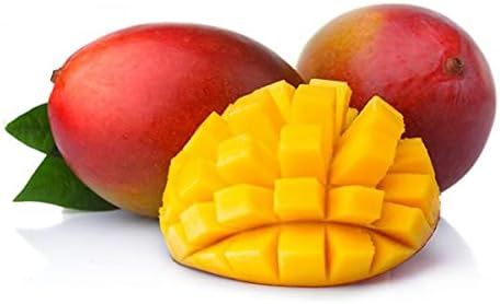 Miniatura 2 de Tanya Hookah Shisha Sabores, sin tabaco ni nicotina, paquete variado tropical, 1.76 oz (paquete de 6) mango, arándano, fresa