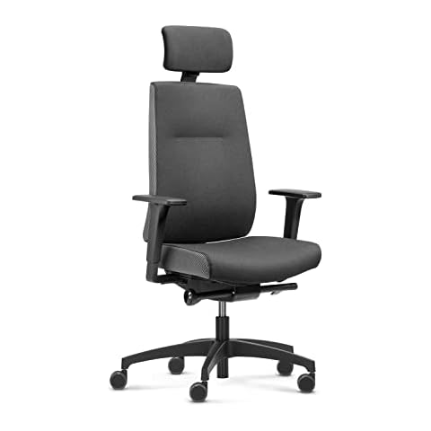 Dauphin Indeed Performance, ergonomischer Bürostuhl mit tiefenverstellbarer Lordosenstütze, höhenverstellbarer Kopfstütze Cover