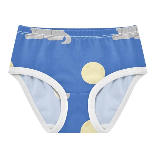 Girls' Underwear Wolf Moon Blue Toddle Brief Panties 2303672