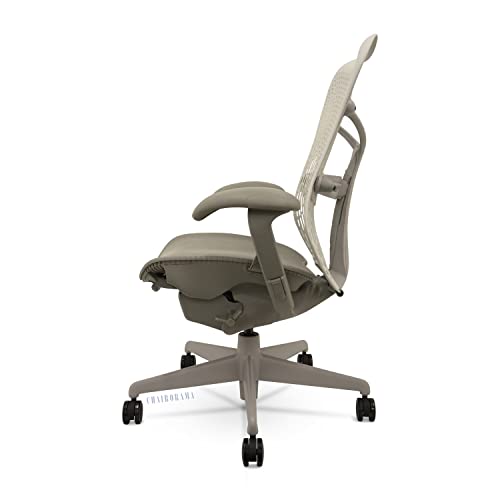 Herman Miller Embody Logitech chair