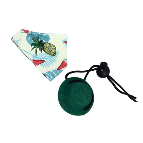 Pequeno Animal Réptil Cosplay Roupas de Algodão Multifuncional Quente Requintado Moda Barbudo Dragão