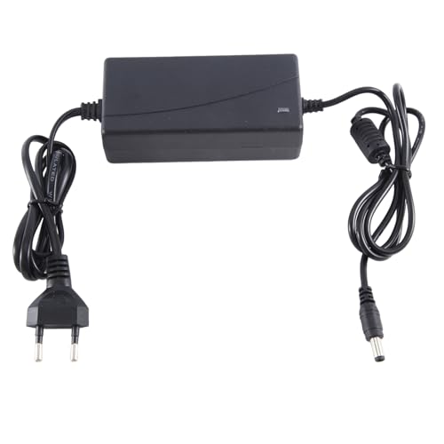 Cargador Lifepo4 14,6 V que evita la sobrecarga en baterías de litio 4