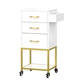 OmySalon Salon Storage Trolley Cart, White Gold Salon Station for Stylist, Beauty Wooden Hair Cabinet with Dryer Holder & Drawer, Hairdressing Tools Organizer Equipment for Spa Barbershop