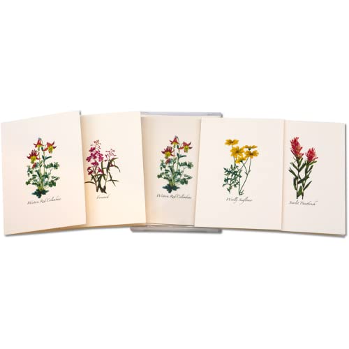 Image of Earth Sky + Water - Western Wildflower Assortment Notecard Set - 8 Blank Cards with Envelopes (2 each of 4 styles)
