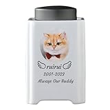 WXMYOZR Urnes d'animaux pour Les Cendres de Chats, Urne de Chat personnalisée pour Les Cendres Urnes de crémation pour Animaux de Compagnie Urnes commémoratives du Chat,Gris