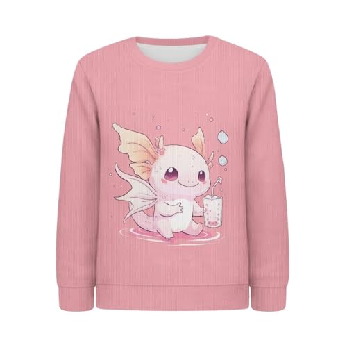Unisex Kids Sweaters Long Sleeve Pullover Sweaters Casual Crewneck Sweater Fall Winter Clothes for 3-14 Years