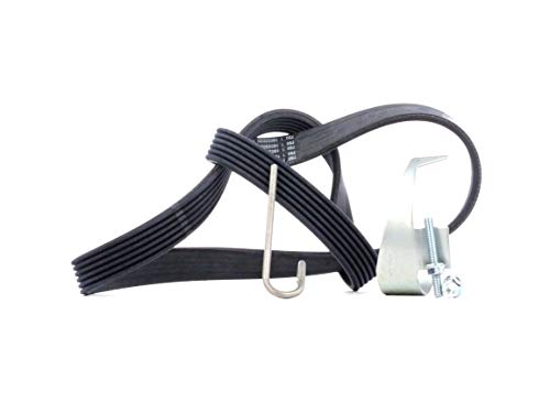 CONTITECH 6PK1019 ELAST T2