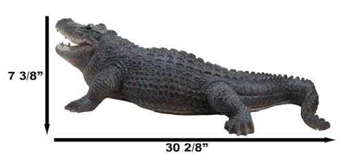 Ebros Gift Grand Scale Realistic Nile Crocodile Baring Jaws And Razor Sharp Teeth Garden Accent Statue 30.5 Inch Long Lake Home Patio Pool Decor Of Alligators Crocodiles Caiman Gator Decorative Sculpture thumb #7