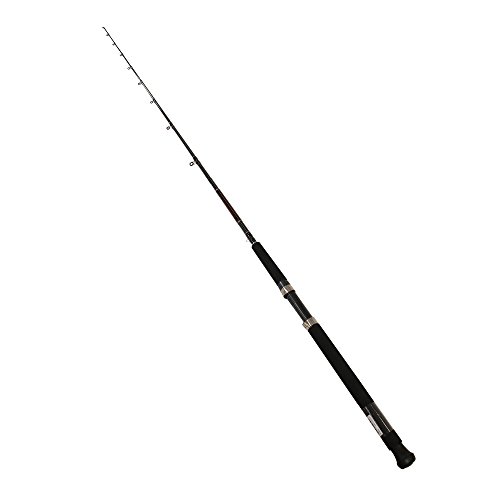 Top 10 Best Rod For Downrigger Fishing Reviews & Buying Guide Katynel