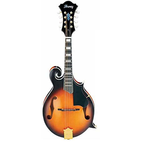 20 Best Mandolin Reviews 2022 Best Mandolin Brands CMUSE