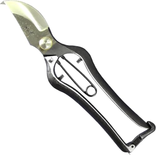 Kiyohide Gartenschere 200mm mit Sicherheitsverschluss (Made in Japan)