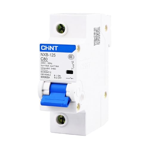 Disjoncteur monophasé 1P DZ47 NXB-125 80A de protection électrique