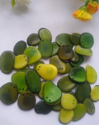 20 Green Slices Curved - Nail Shape from Colombia Rainforest Top drilled Two Holes Size: 2-2.5 x 2-2.5 cm R-1049
