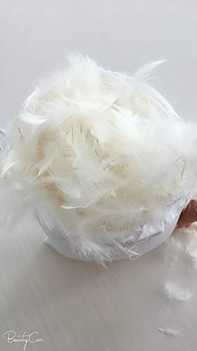 image for February Snow Bulk Goose Feather/Down Filling,100% Natural White Down-