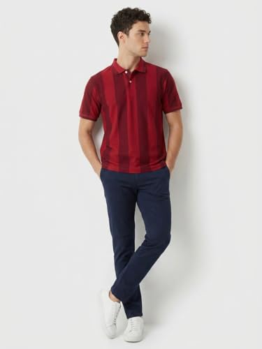 Image of Raymond Men Modern Fit Stripe Pattern Pure Cotton Polo Neck Half Sleeve Casual T-Shirt