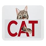 Tapis de souris parfait : ce tapis de souris de jeu de 21,1 x 24,9 cm est suffisant pour s'adapter à votre souris de jeu, s'applique à tous les types de claviers et de souris.