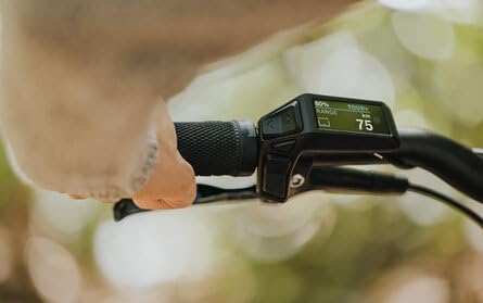 Close-up of Bosch Purion 200 on handlebars with hand