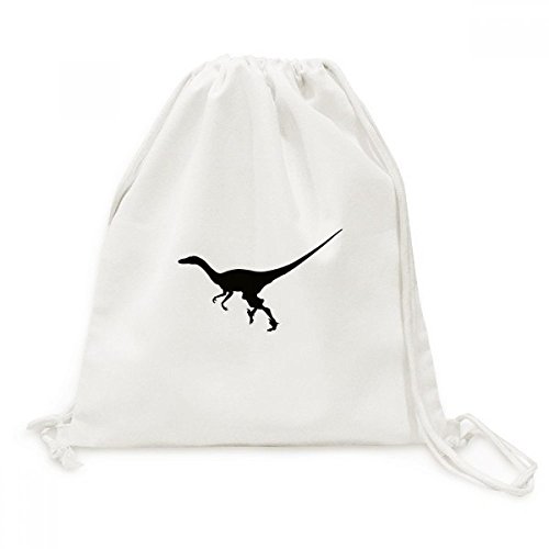 Sac cordon toile dinosaure sac à dos de voyage léger pour enfant et loisirs