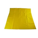 Hospital Direct Einweg Röntgen-Platteneinsatz, 25 Stück