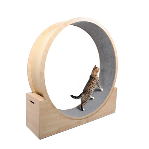 Elmato 10701 Simba L Katzenlaufrad komplett montiert deutsche Qualität in...