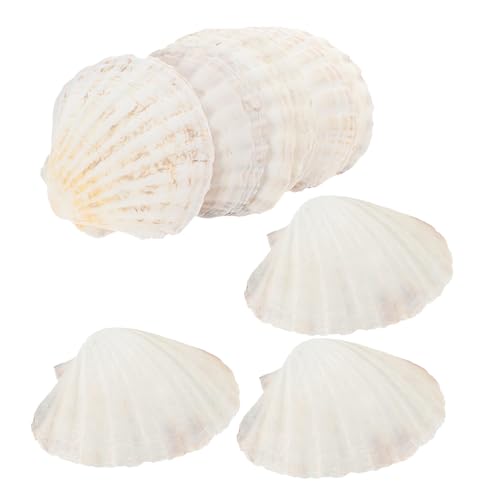 LIOOBO 20 VR̊k̐H i`x[LOVF z^eL̊k VRVF x[W