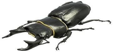Amazon 昆虫ハンター カブトムシ クワガタ 16 日本vs世界 森の戦士 集結 3 オオクワガタ 単品 通販