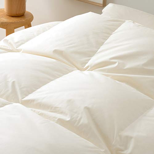  Hэ|zc NB[ tXY zCg _E 90 DP400 NC[ { 47504 x[W[300]