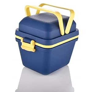 Tosaa Plastic Dieting Airtight Lunch/Tiffin Box Set 3 Compartment Tiffin with Handle & Push Lock for Travelling, School…