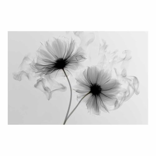 Poster noir et blanc fleurs gris fumé pour salle de bain et salon moderne 80x120cm