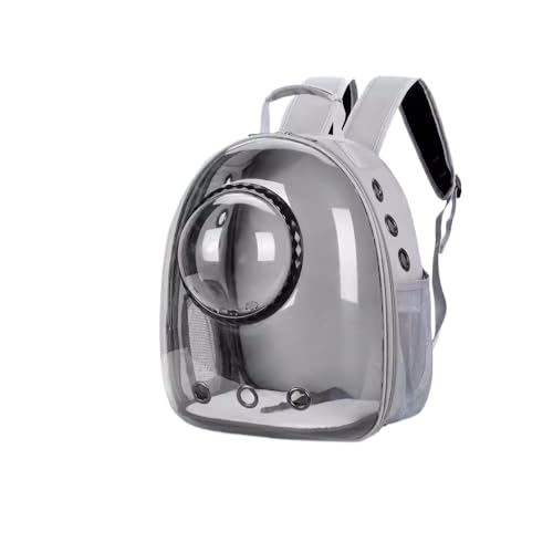 OGXN ybgL[bN ʋC ܂ݎ[ yʐ݌v L ^  ʉ@ s h  U dԈړ ybg (sNF,FD^)