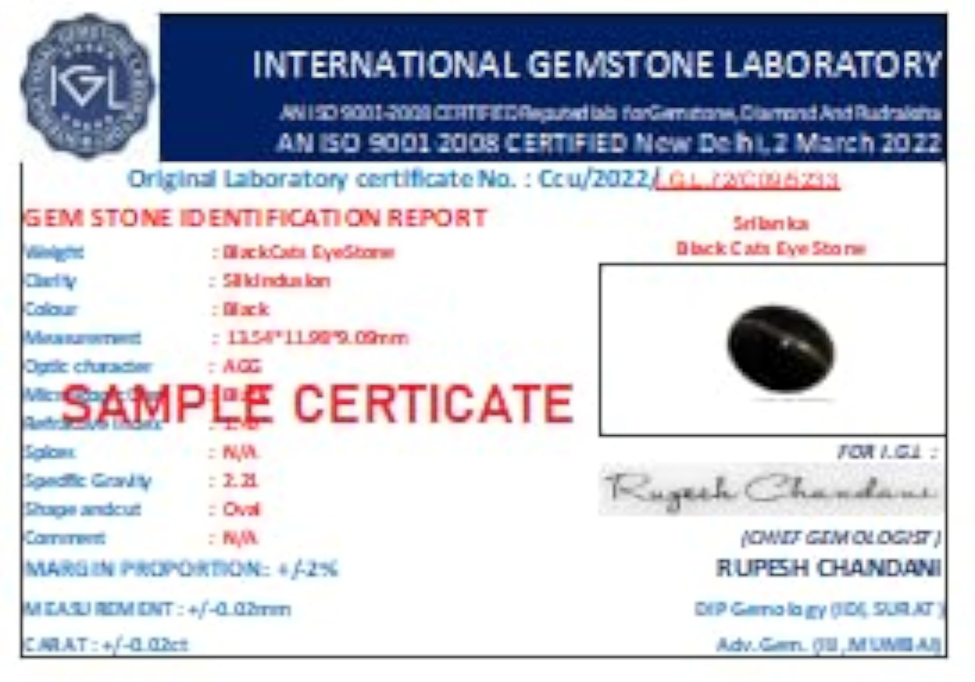 6 Carat Black Chrysoberyl Cats Eye Stone, Certified