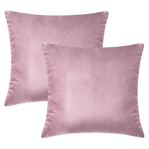 Hafaa Fundas de cojín de Terciopelo Rosa de 45 x 45 cm, Fundas de Almohada Decorativas, Juego de 2 Fundas de Almohada cuadradas para sofá, Dormitorio, sofá, 18 x 18 Pulgadas