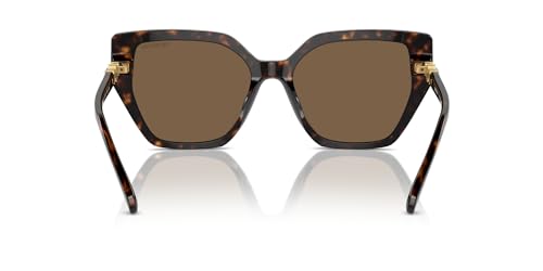 Swarovski Women's Sk6016 Cat Eye Sunglasses4