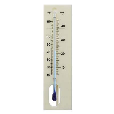 Bruja Brutthermometer