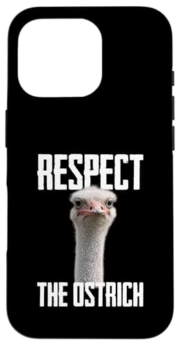 �_�`���E�𑸏d���Ă������� �ʔ����T�t�@���������D�� �~�[������������� �X�}�z�P�[�X iPhone 16 Pro �p