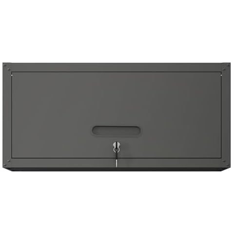 MYEYPEL 29.5" Metal Wall Mounted Tool Storage Cabinet Steel Metal Storage Cabinet for Garage,Office,Home,Living Room,Bathroom,Hallway,Black Cover