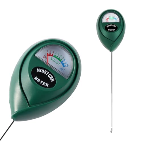 Pclife y v ϗtApy됅v A[^[ ϗtAщOApAv drsv O[