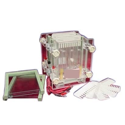 鶴岡義雄、ナイター、豪華限定版・限定1000部、新品額付 送料無料