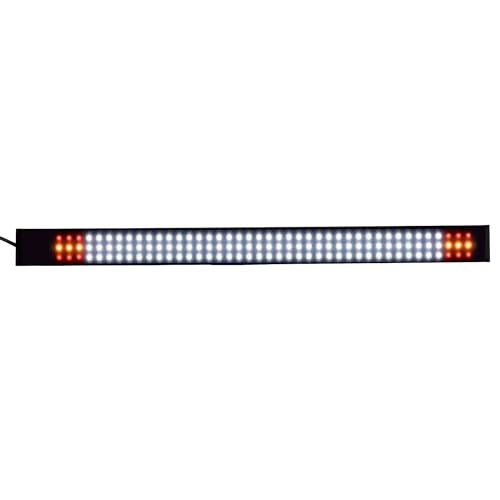 BOEL-TRONIC Bandera LED DE Blanco + ESPAÑA -12-24V